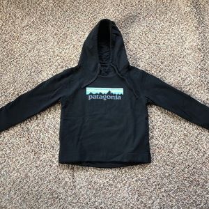 Cropped Patagonia Hoodie